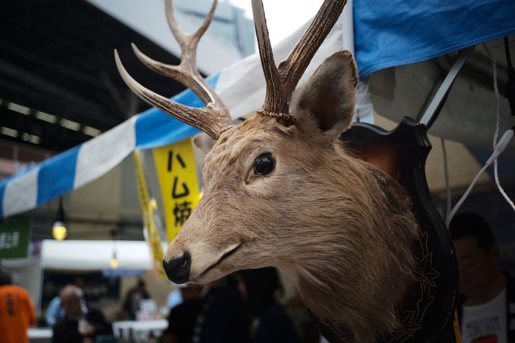 新橋駅前で何やら催し物が。
凄い迫力の鹿さん