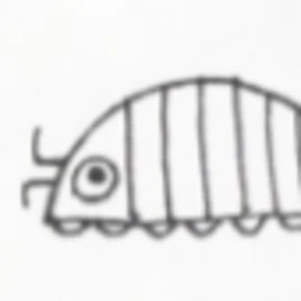 だんごむし。／趣味熱帯魚ブリーダー