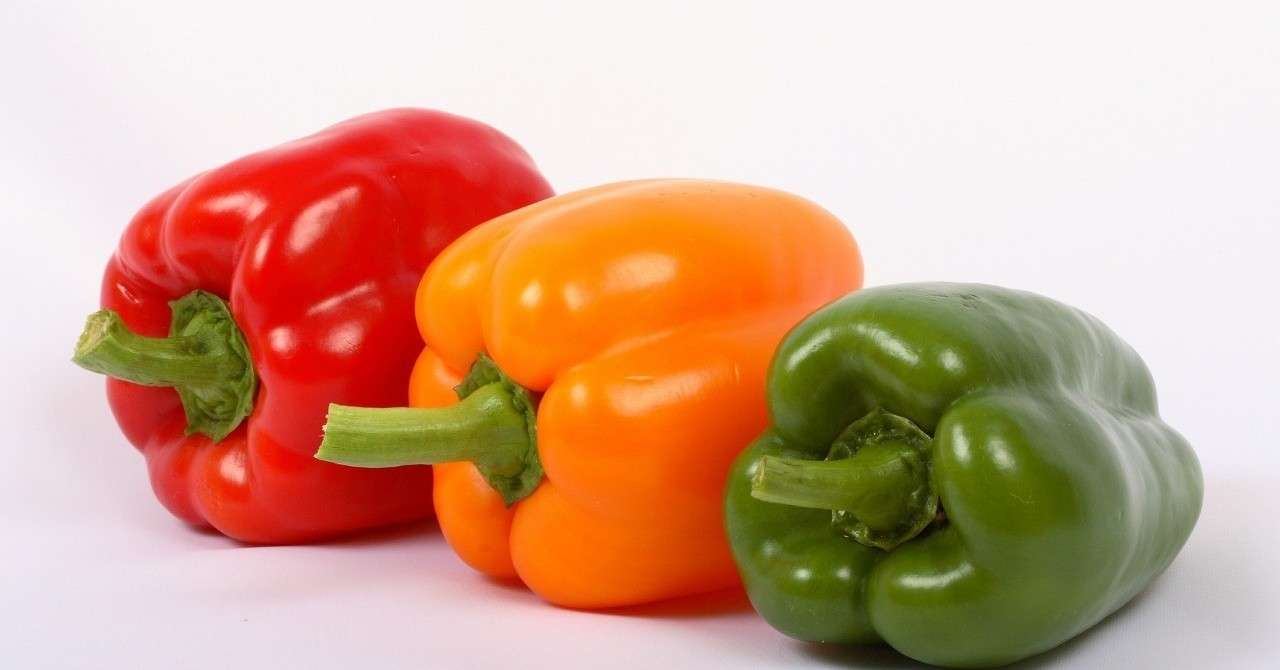 ピーマンから芋虫 鶴木マキ Note