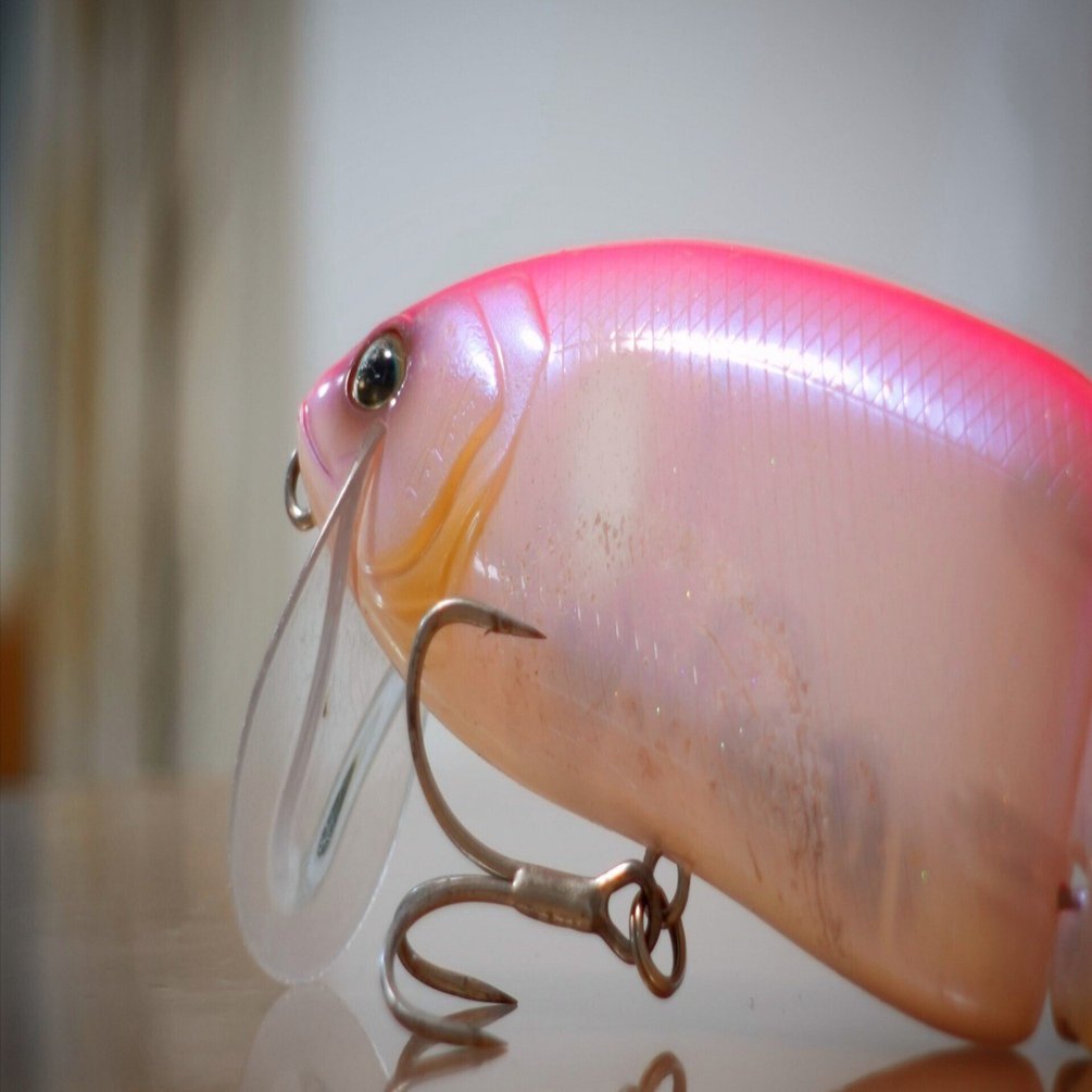 【長谷川ピンク】ジョイクロ128セット そんな色がなぜ釣れるのか？｜長谷川耕司