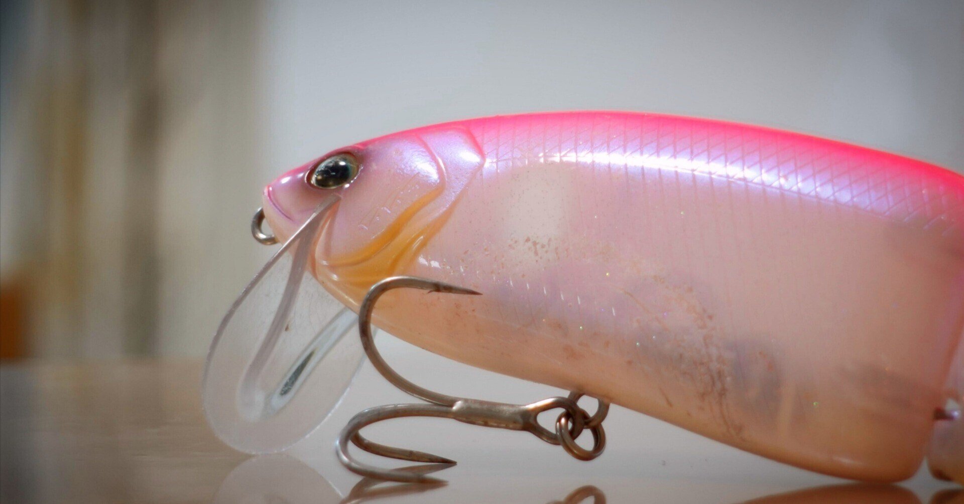 そんな色がなぜ釣れるのか?|長谷川耕司 そんな色がなぜ釣れるのか?|長谷川耕司