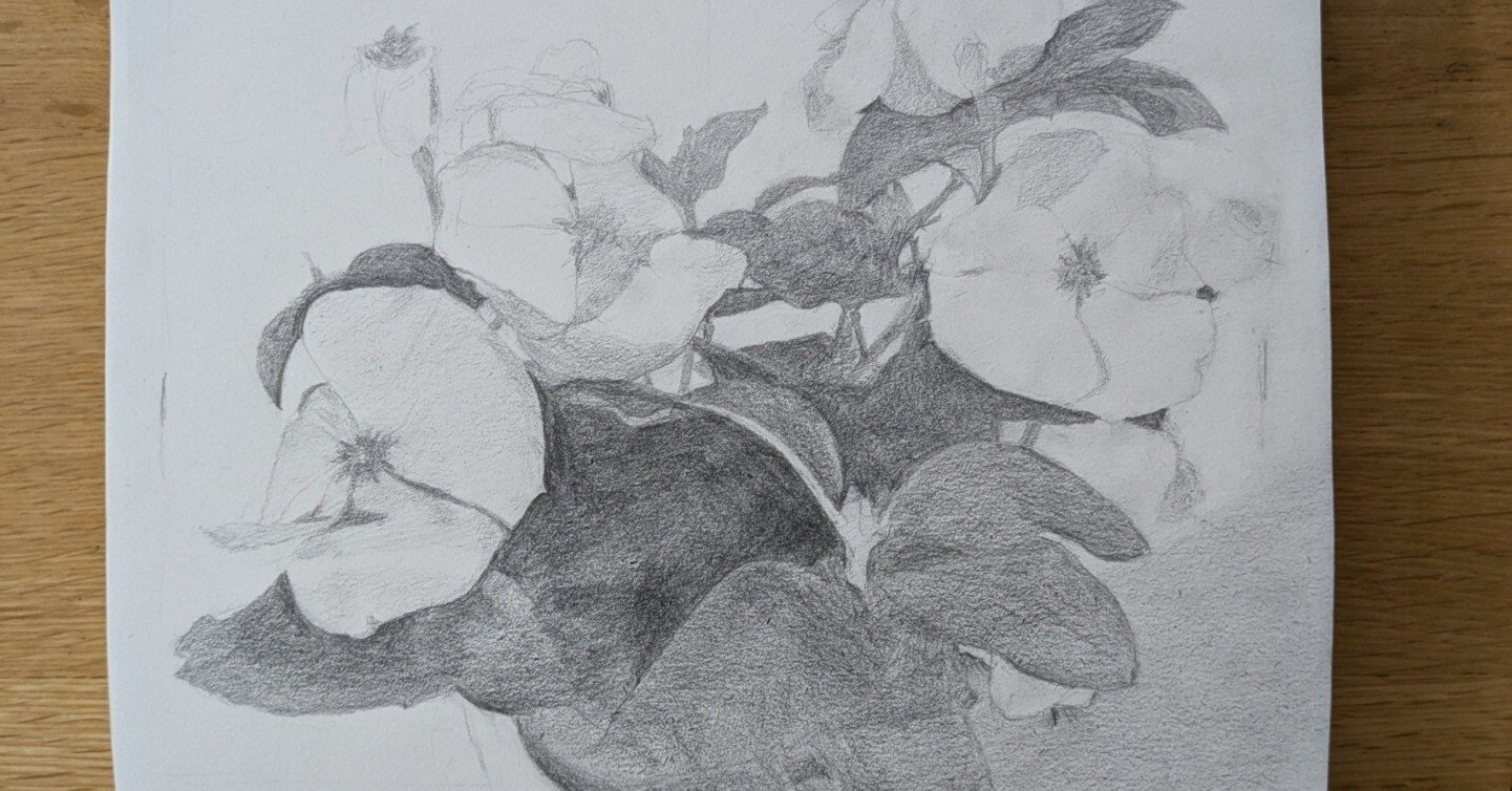 デッサン 花 デッサン23回目（花の鉢⑧）｜えのべん