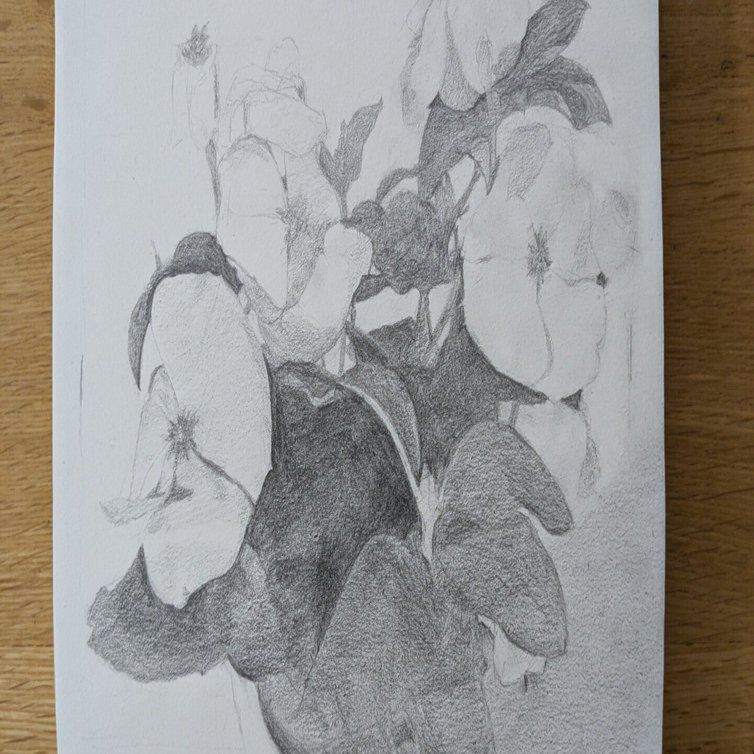 デッサン 花 mqdefault.jpg