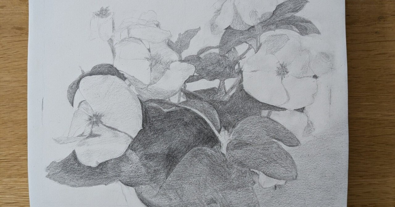 デッサン 花 桜の鉛筆デッサン。7つのステップで花びらを描く手順について