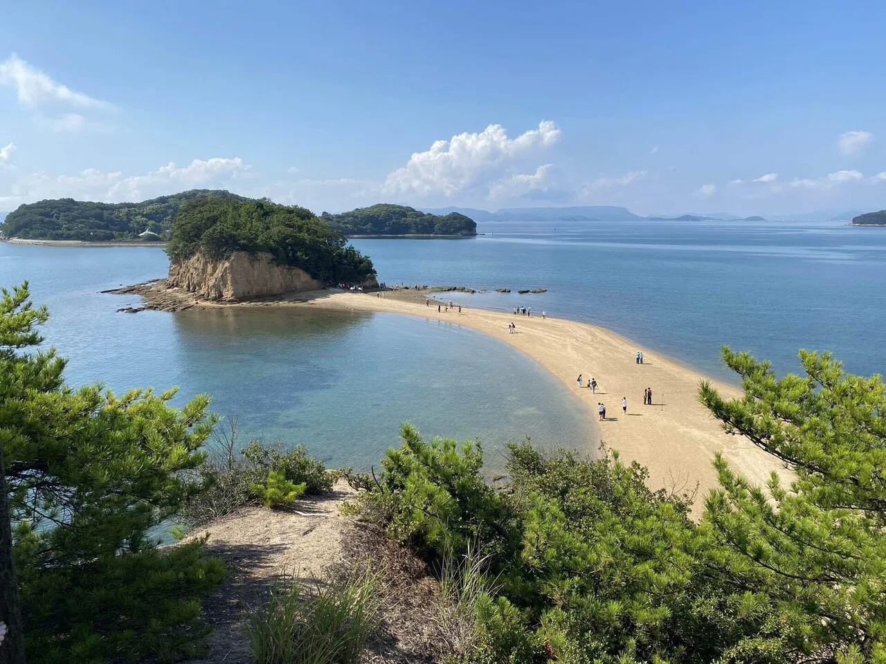 小豆島ひとり旅｜夏のオリーブ畑｜ノコ＠リタイア生活 | Free Life of