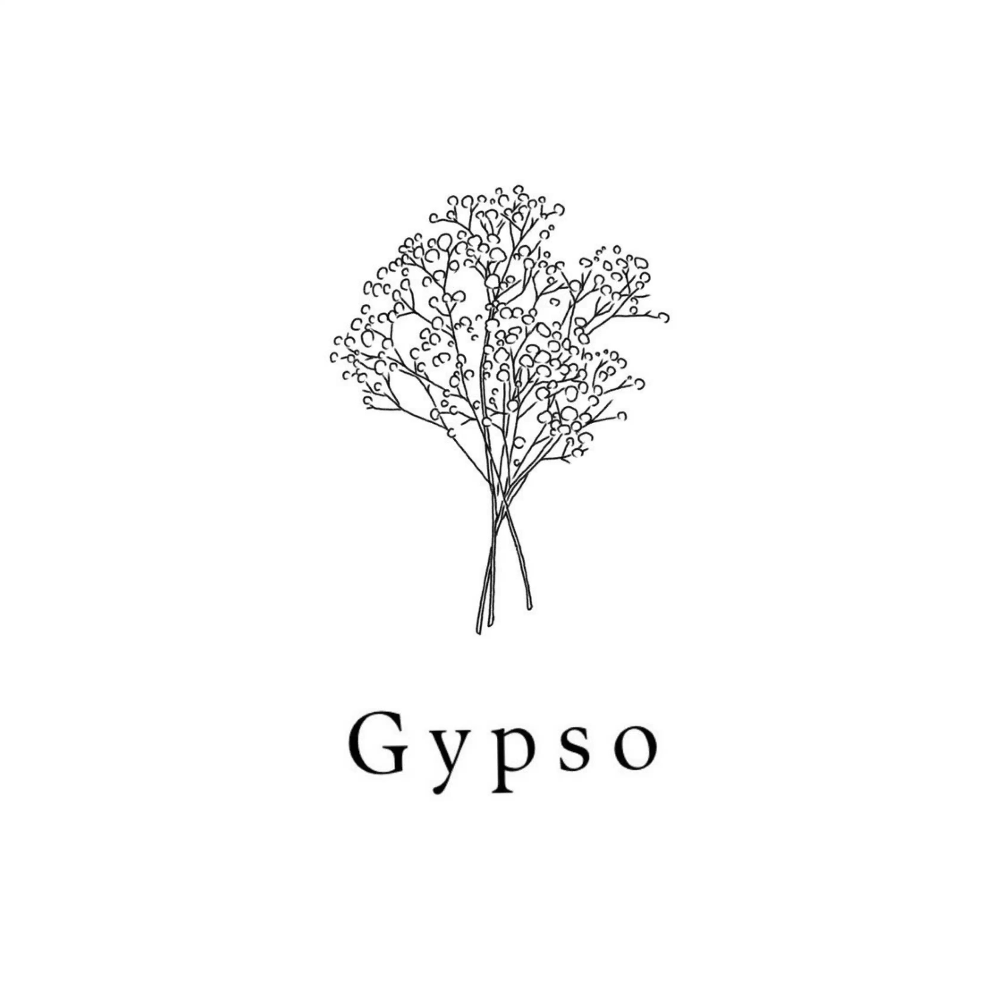 gypso_ltd