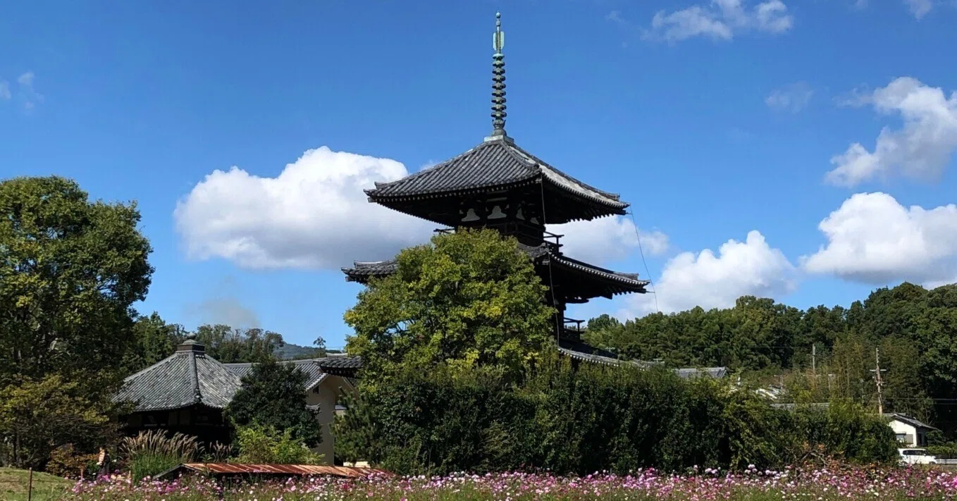 🔶私の好きな奈良：聖徳太子の斑鳩宮 三井の地に法輪寺 世界遺産の法起