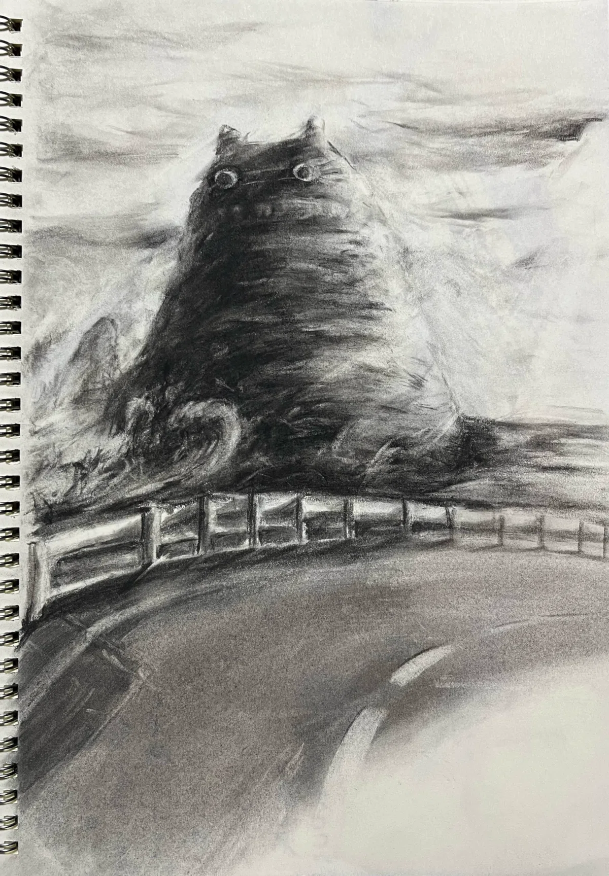 絵(木炭)描いたの｜フェイ
