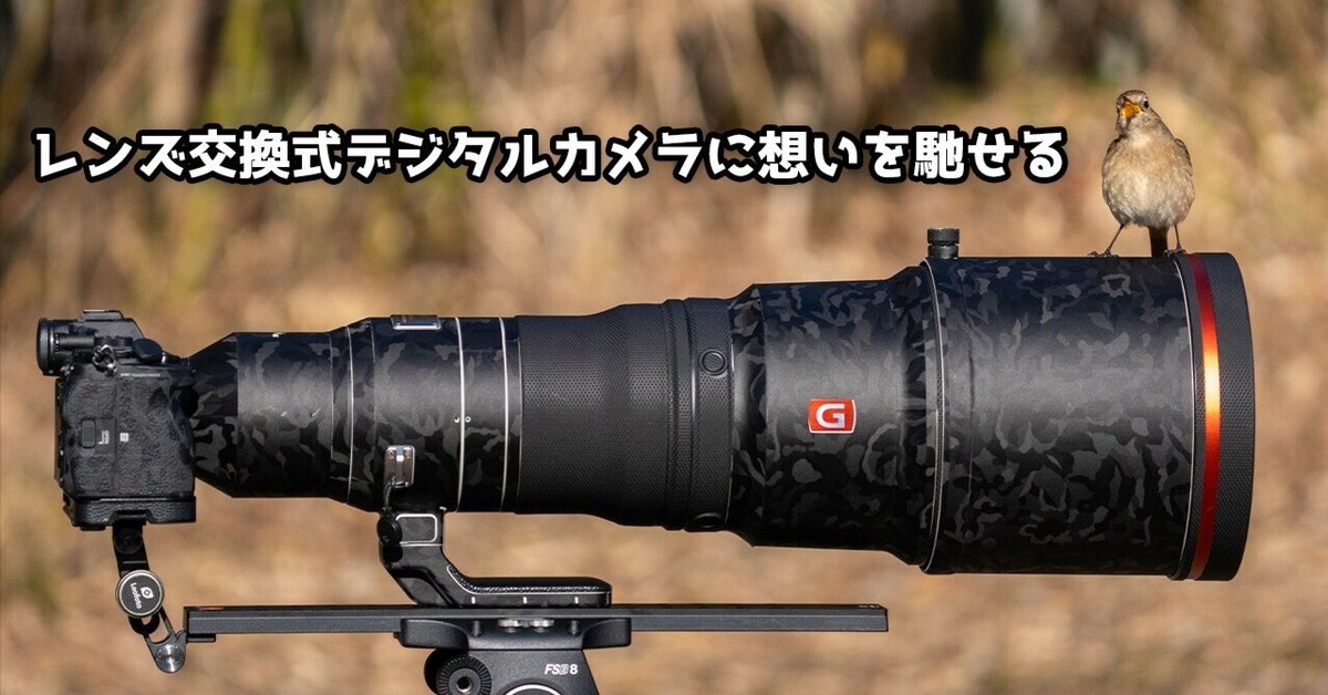 無料発送 2005年に発売されたレンズ交換式デジタルカメラに想いを馳せる デジタルカメラ