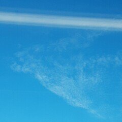 80号の大作の作品紹介⑧ハッピー蓮の花｜ハッピー太陽画家小楠アキコ