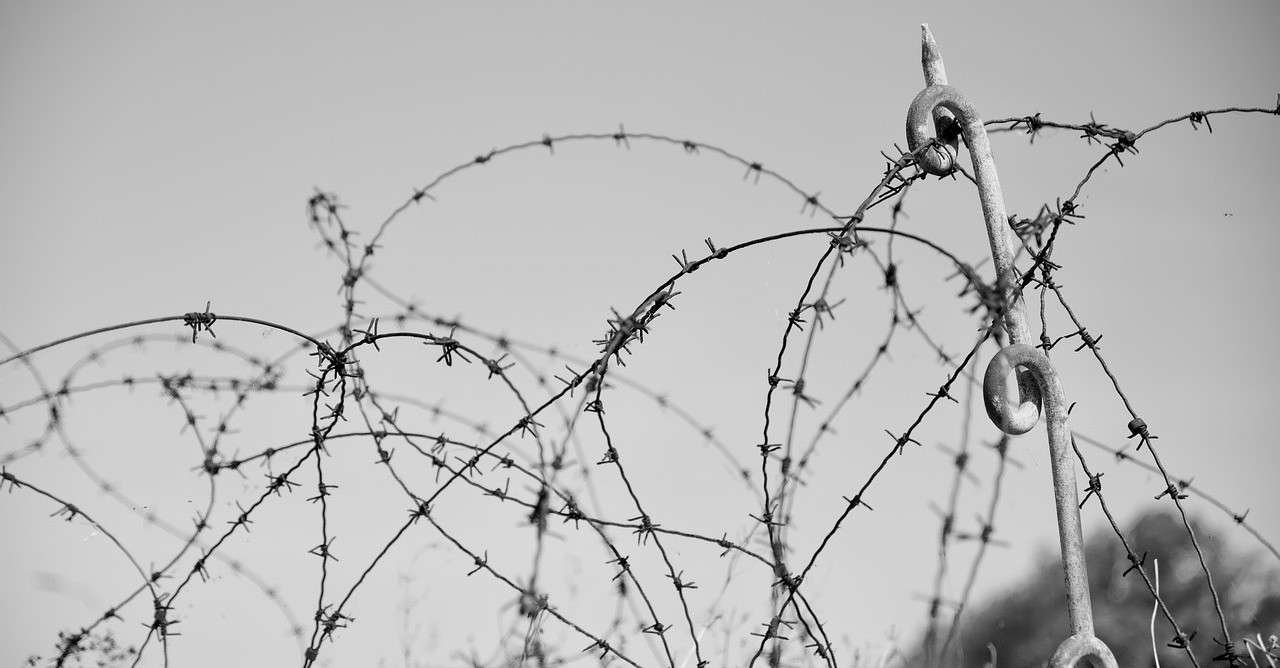 натянутая колючая проволока. шуфутинский проволока колючая в три ряда. шуфутинский проволока колючая в три ряда. обруч из колючей проволоки. шуфутинский проволока колючая в три ряда.