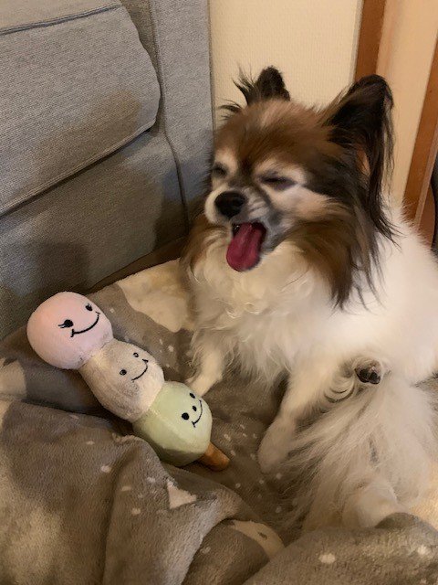 Cakes更新しました 批判なんて恐れずに Note書こうよという話です 犬は吠える がキャラバンは進む ワイングラスのむこう側 Cakes Mu Posts 林伸次 Note Cakes更新しました 批判なんて恐れずに Note書こうよという話です 犬は吠える がキャラバンは進む ワイングラスのむこう側 Cakes Mu Posts 林伸次 Note