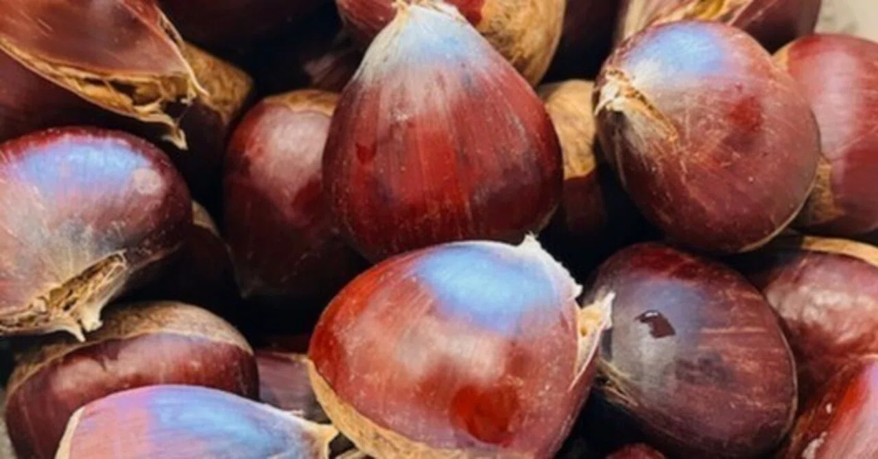 Autumn Has Arrived: Chestnut and Black Bean Sticky Rice｜CHIZUKO i