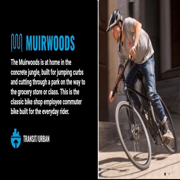 Muirwoods29でちょい乗りから100マイルのロングライドまで｜銀輪日報 