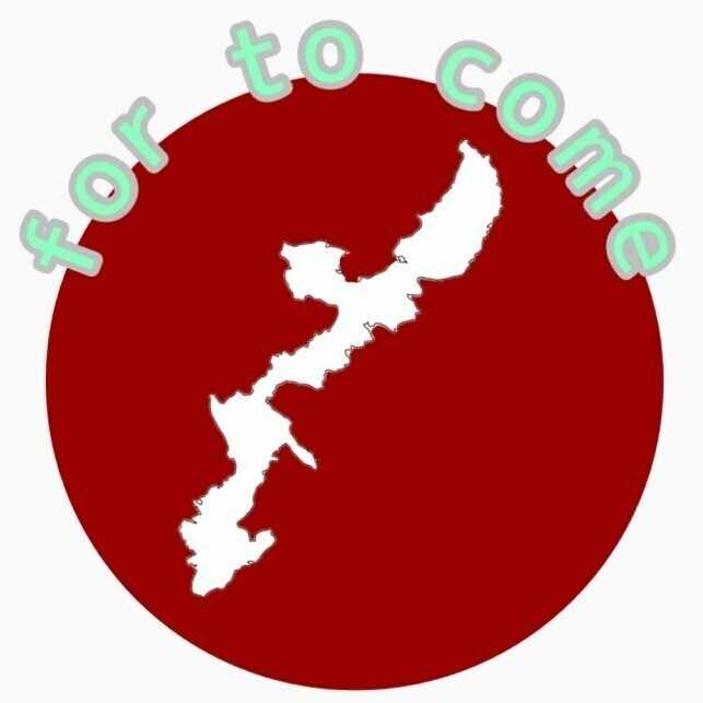 沖縄に来るために