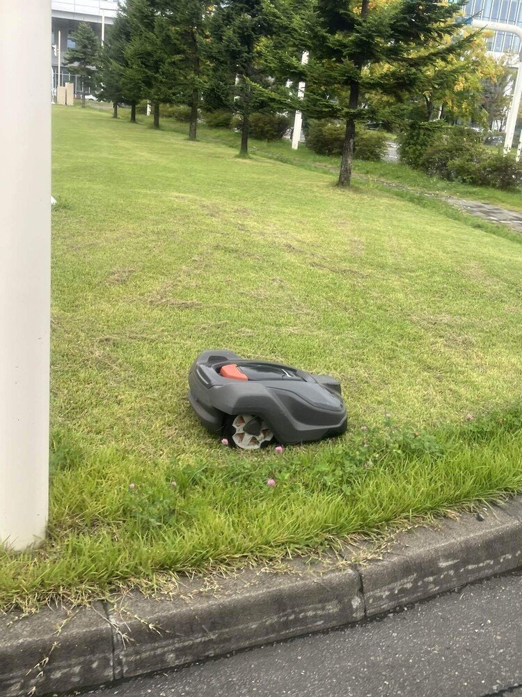 自動芝刈り機❕働いてました❣️