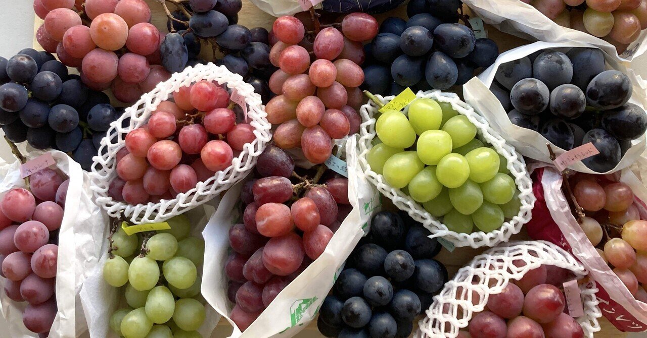 念願のぶどう祭りを開催！18種類を食べ比べ｜古谷 真知子：家庭料理の