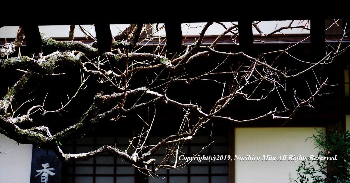 嫉妬」に狂う。｜norihiromita(三田典玄)