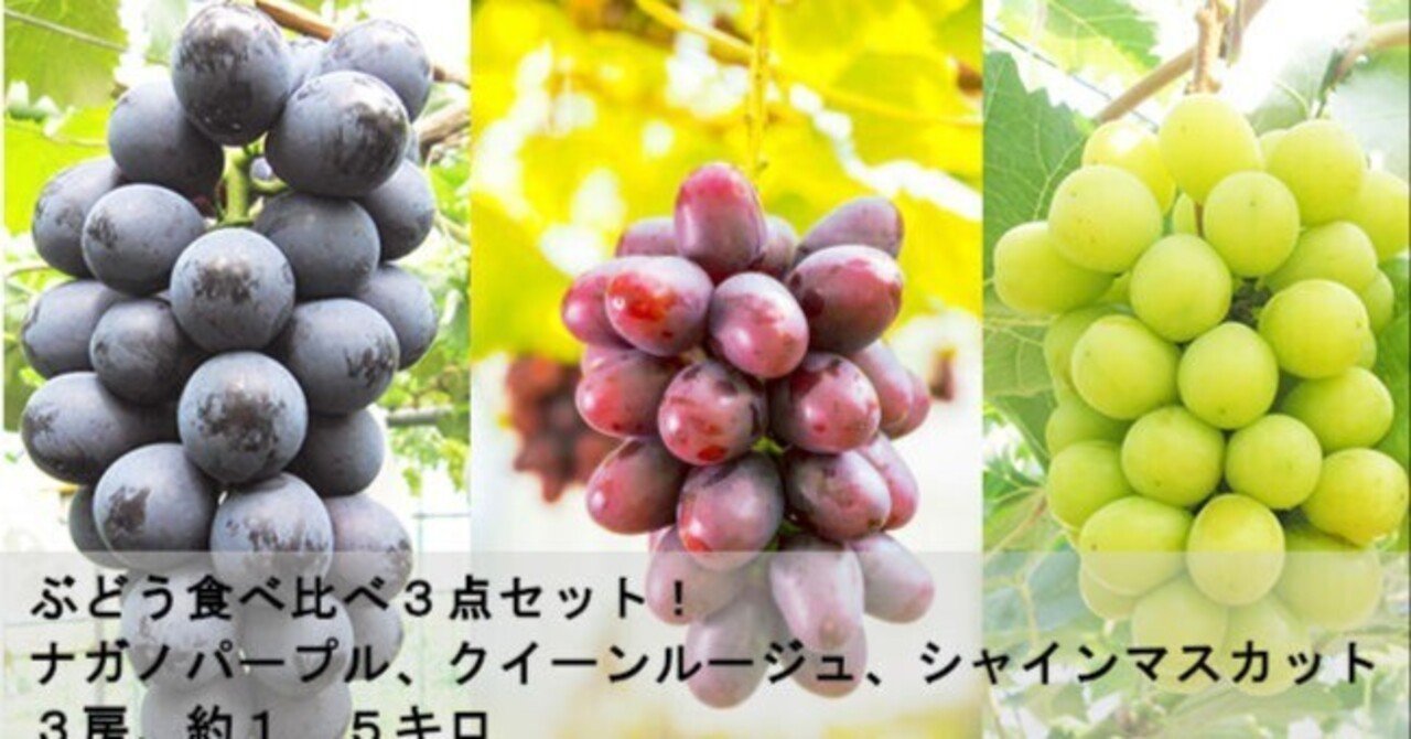 シャインマスカット&クイーンルージュ&ナガノパープル、粒三種入り 皮ごと楽しめる！ぶどう三種入荷中🍇 長野を代表する人気の