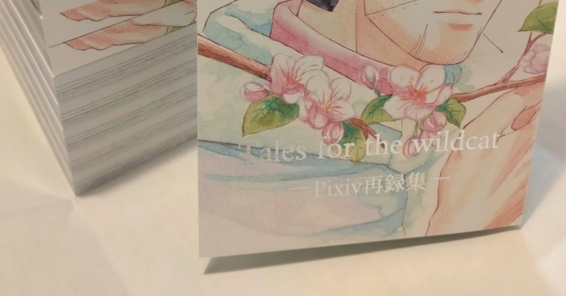 二次創作】同人誌装丁備忘録【漫画】｜海