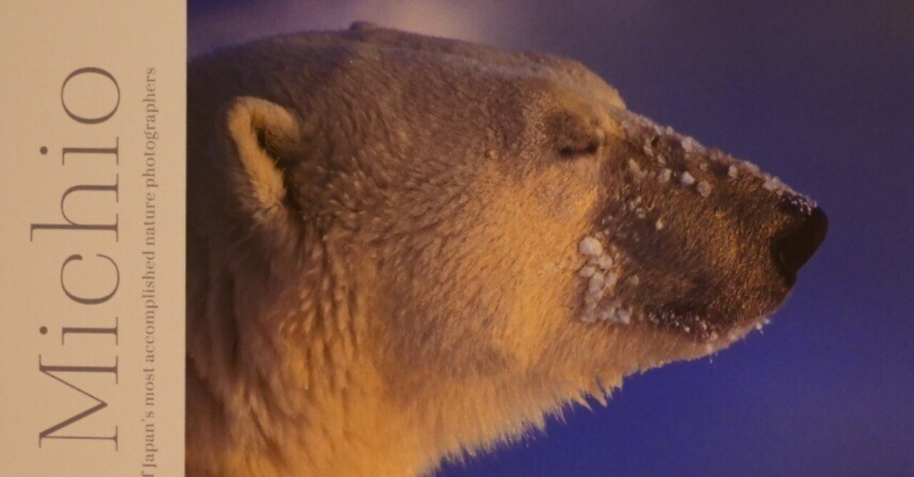 遠くを想う｜tomo