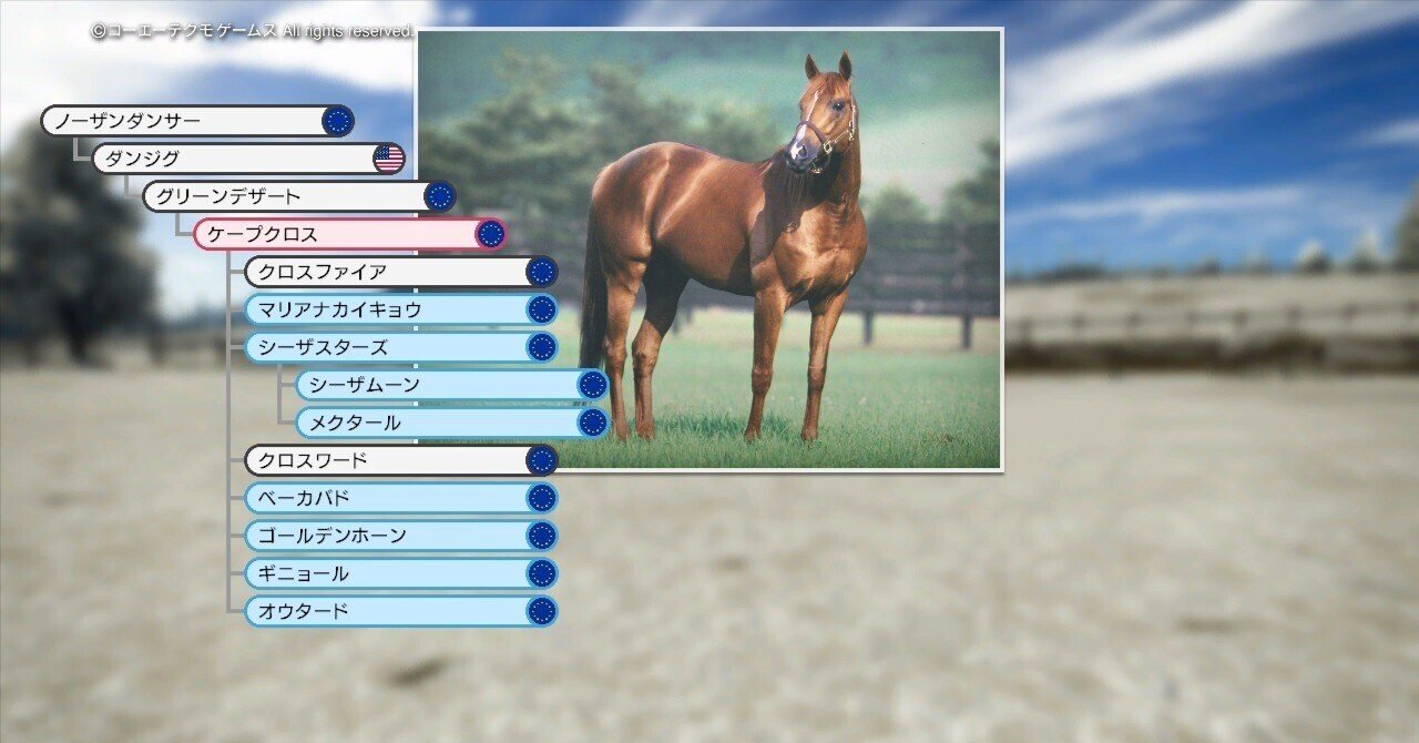 Winning Post 10 2024 ケープクロス 系統確立｜アリゼオ
