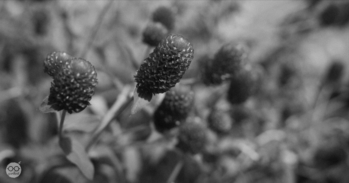 モノクロ 模写 カワサキNinja ZX-25Rを1/12＆塗装済で再現！アオシマ・完成品