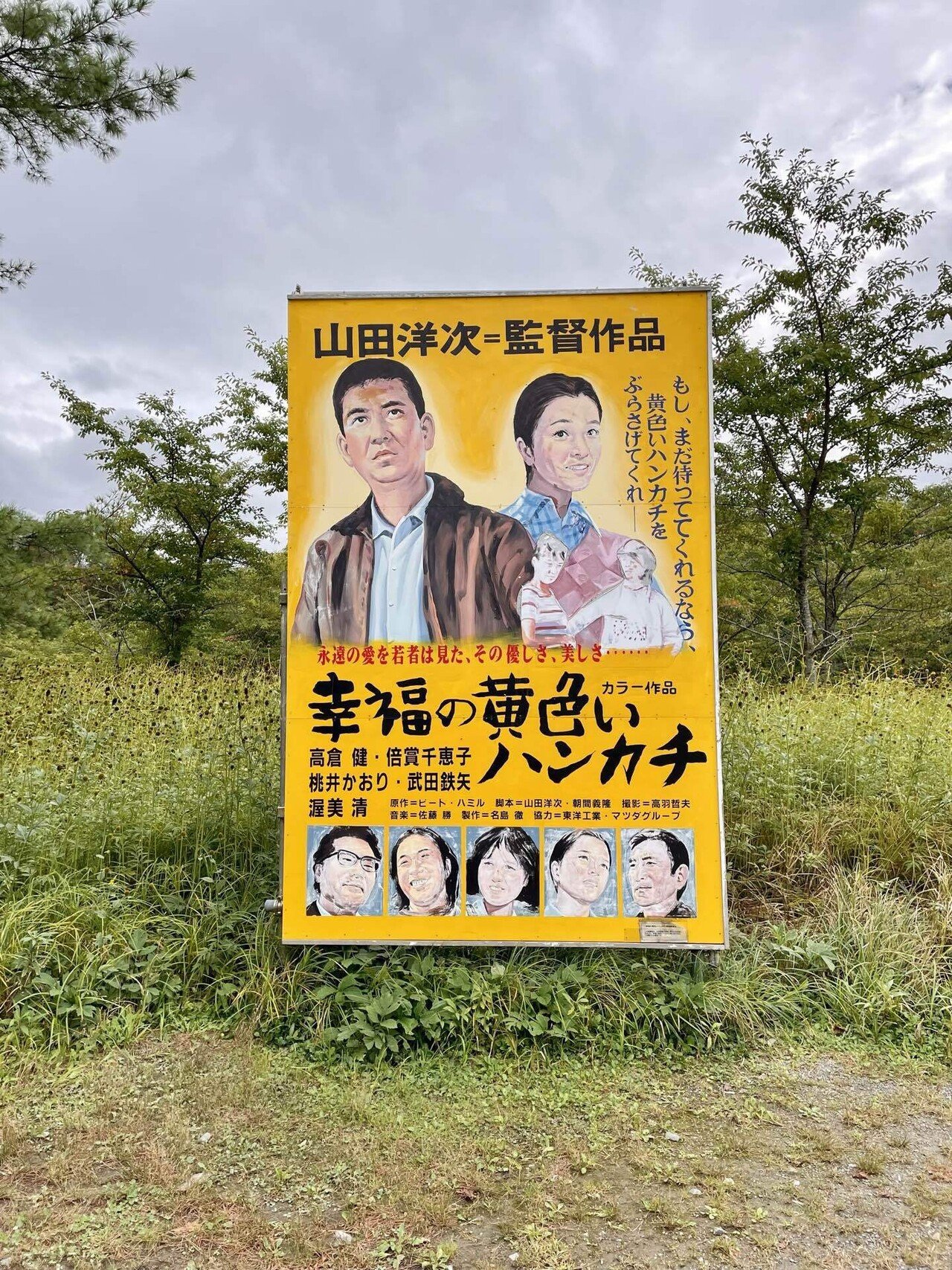 高倉健 映画 幸福の黄色いハンカチ DVD レンタル専用 高倉健 スチール写真(映画の名場面)とシネフロント「幸せの
