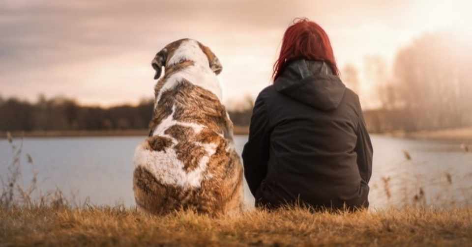 犬猫はペットショップで買うか 保護団体から引き取るか問題 今twitterで話題になっております 清水絵里奈 Note