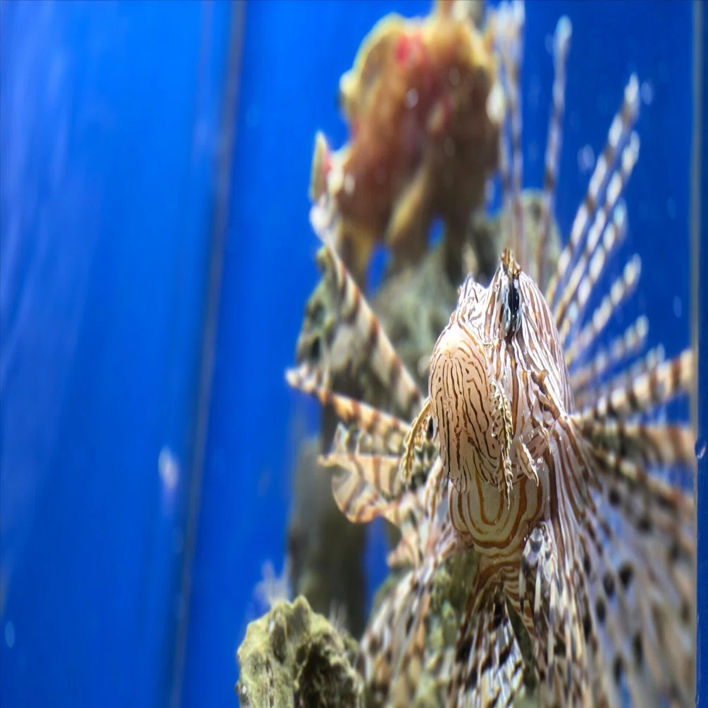 激写！もぐもぐ大満足｜北里アクアリウムラボ