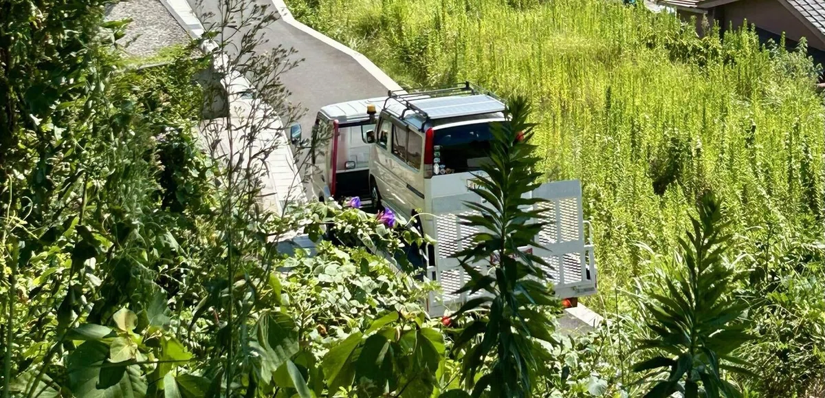 レッカーされていくバモス
