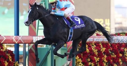 ディープインパクト、イクイノックス ディープインパクトでもオルフェーヴルでもない「日本競馬の