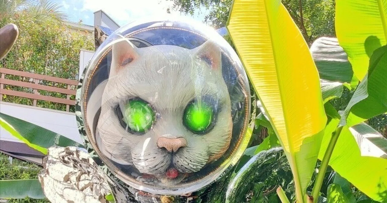 ヤノベケンジ 太郎と猫と太陽と😸見て来た！｜きみマム