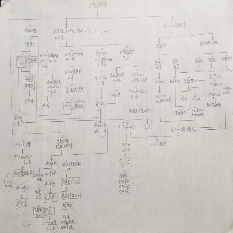 看護学生 術後の関連図 鳩ぽっぽ Note