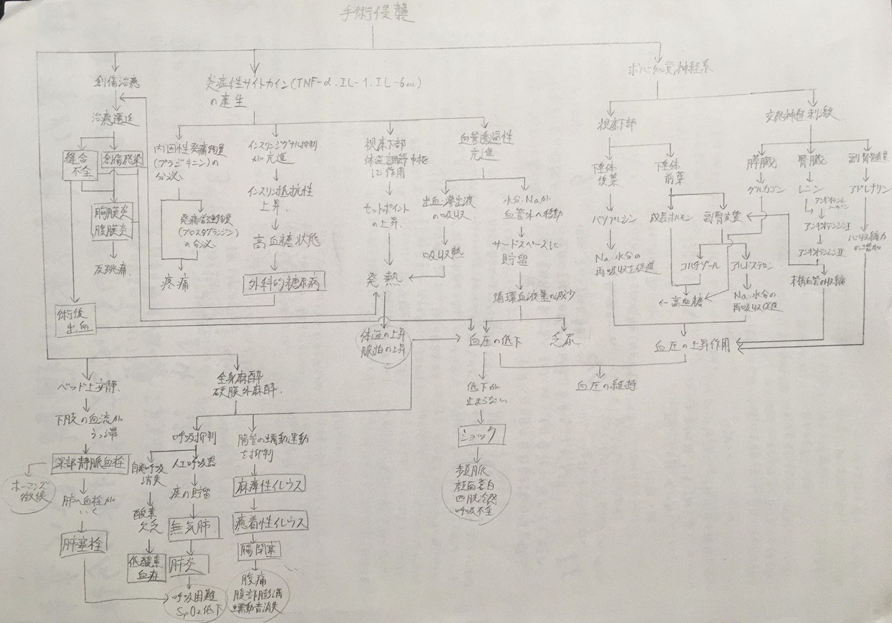 看護学生 術後の関連図 鳩ぽっぽ Note 看護学生 術後の関連図 鳩ぽっぽ Note