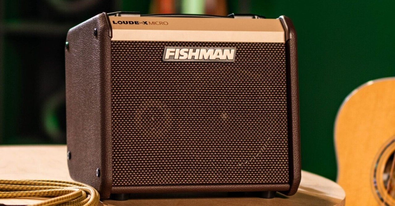 エレアコ専用ギターアンプ FISHMAN LOUDBOX100おまけ付き （鷹の