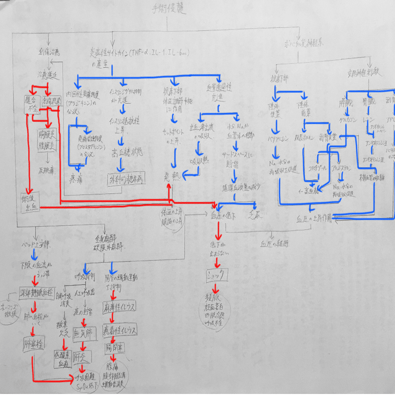 看護学生 術後の関連図 鳩ぽっぽ Note