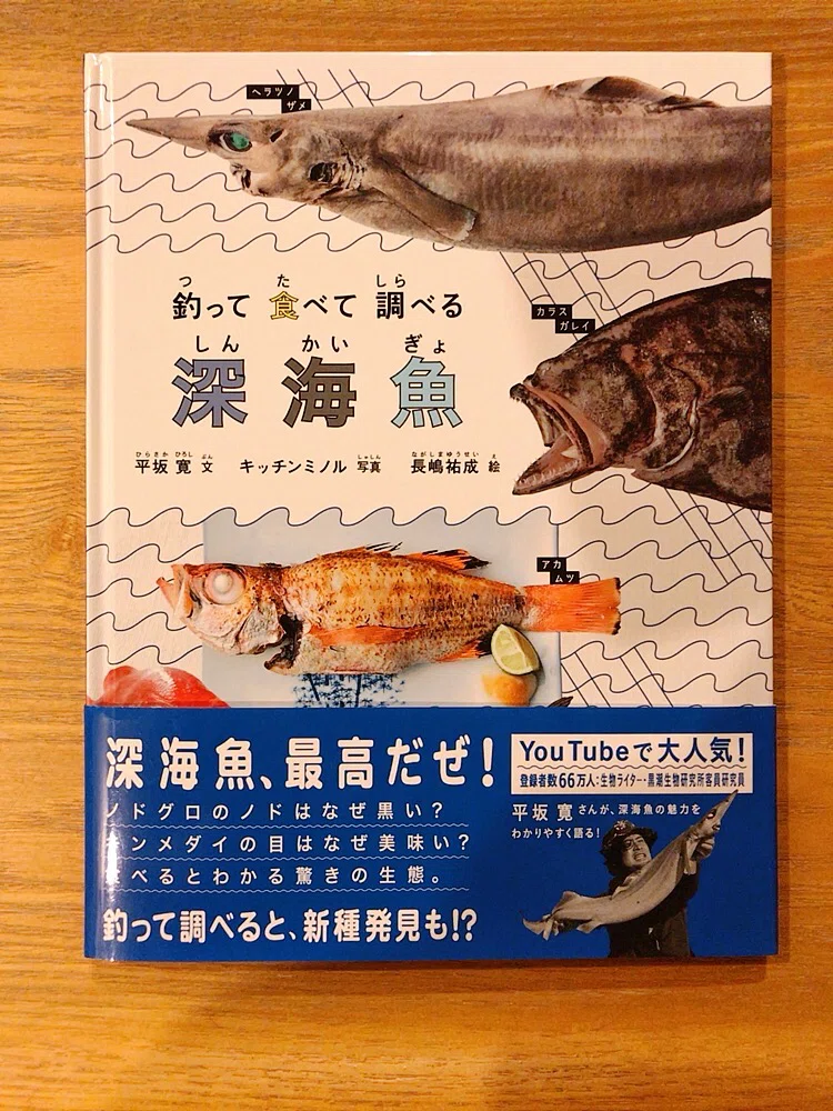 深海魚っておもしろい｜萌日(もえか)