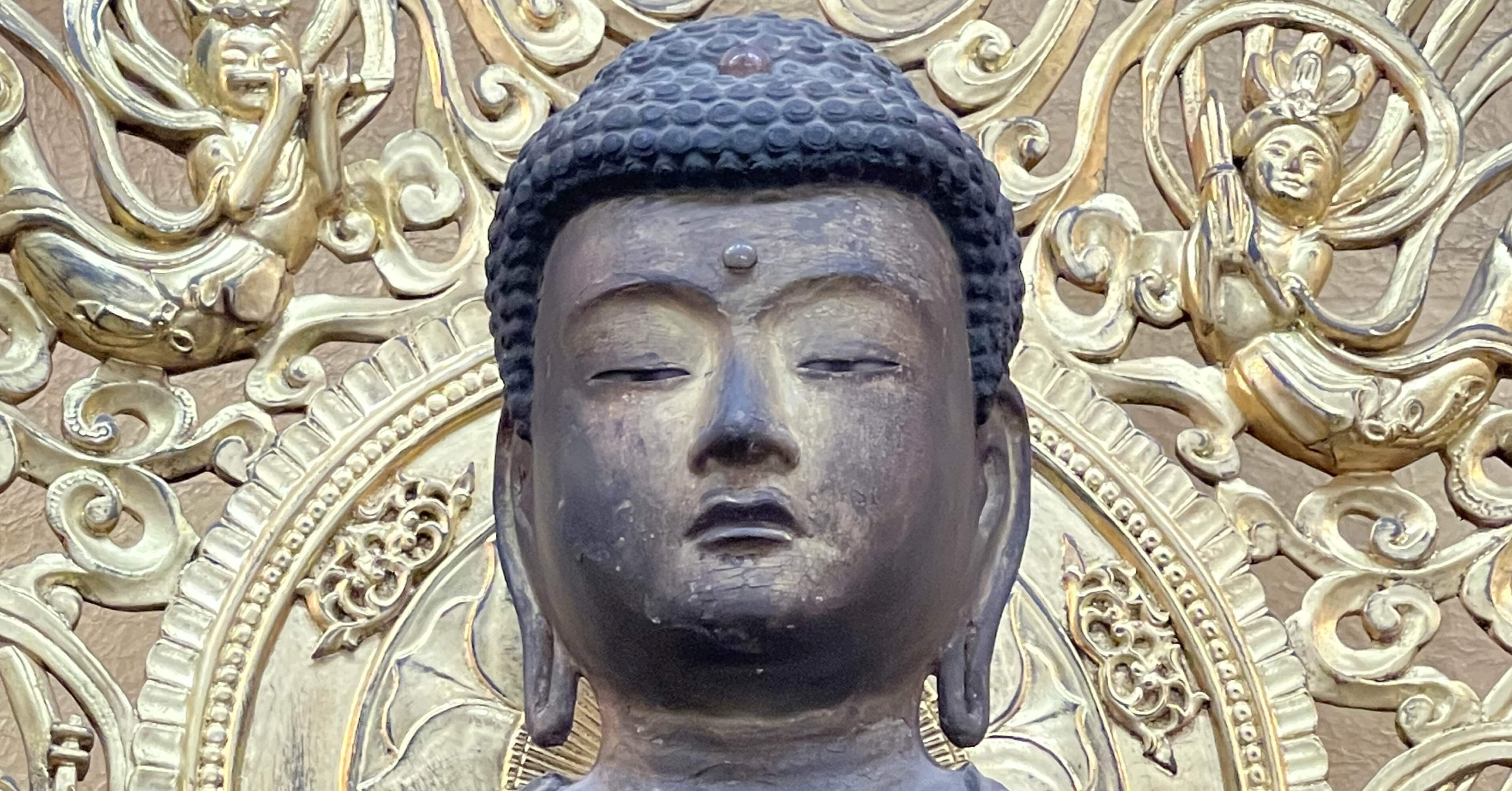 白本尊さまについて〜徳川家康の身代わりとなった仏さま〜｜徳川家