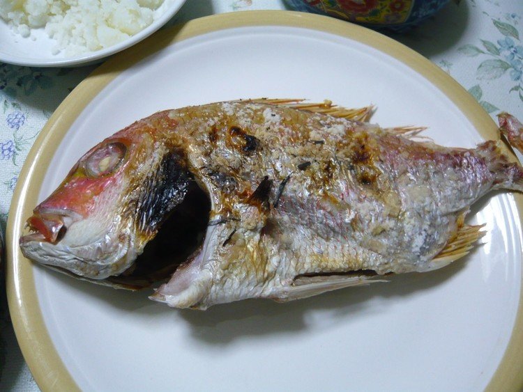 今日の晩御飯は連子鯛の塩焼き！！