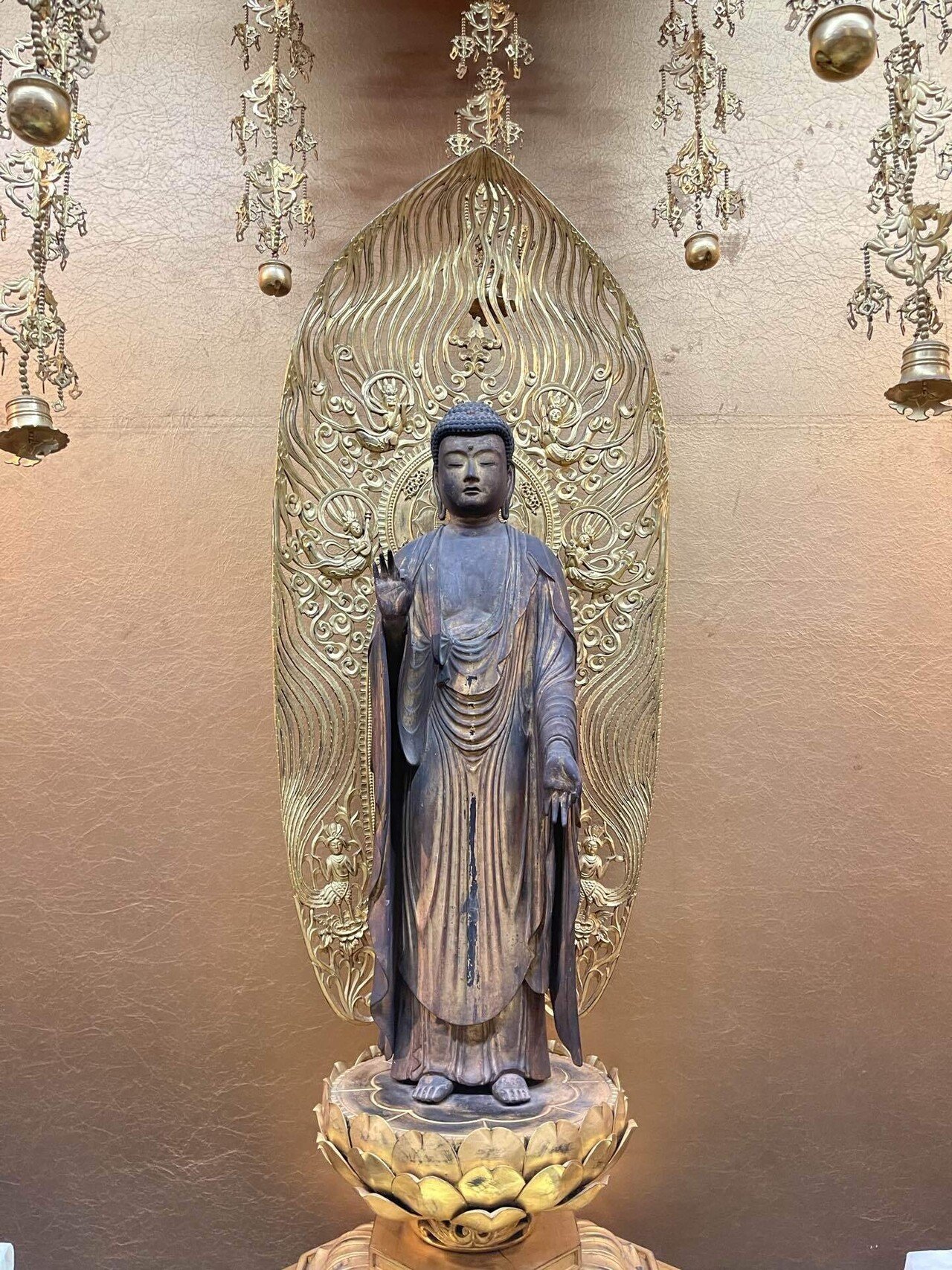 白本尊さまについて〜徳川家康の身代わりとなった仏さま〜｜徳川家