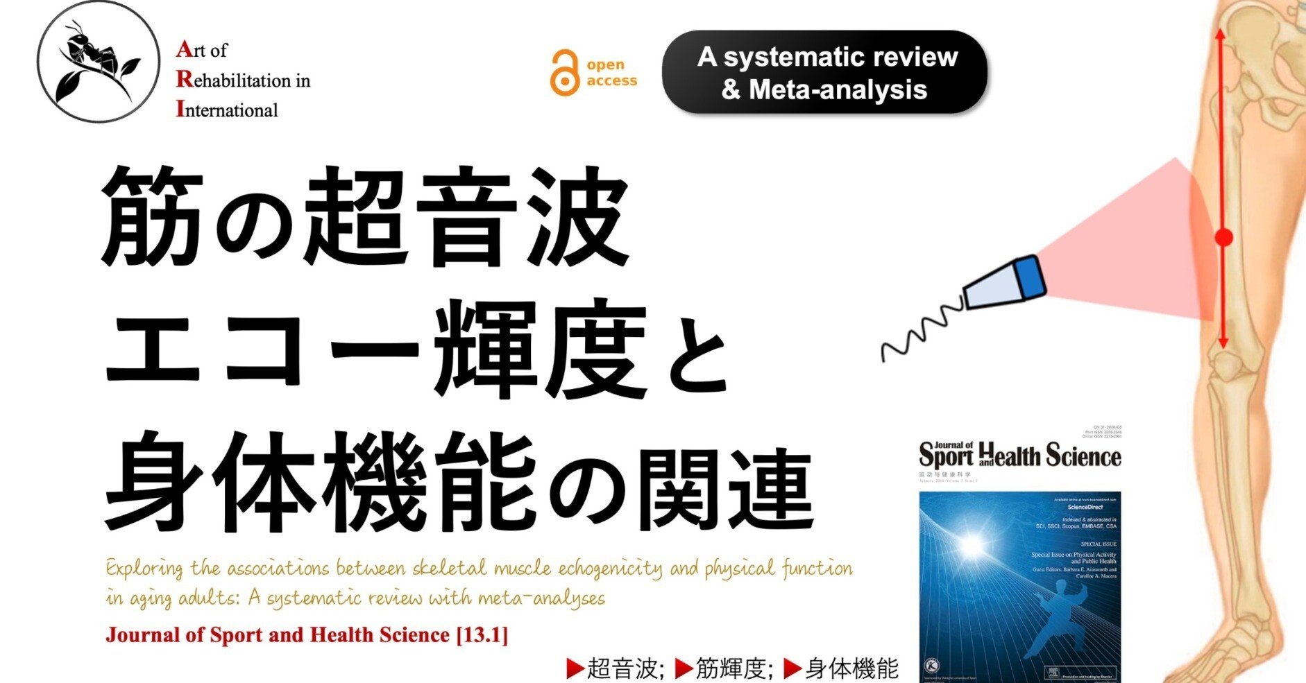 南江堂 神経筋疾患の超音波検査実践マニュアル 2018 012S3D（第