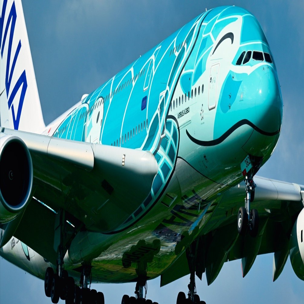 ガンバッて FLYING HONU｜ただのフォトグラファーでは終わらない