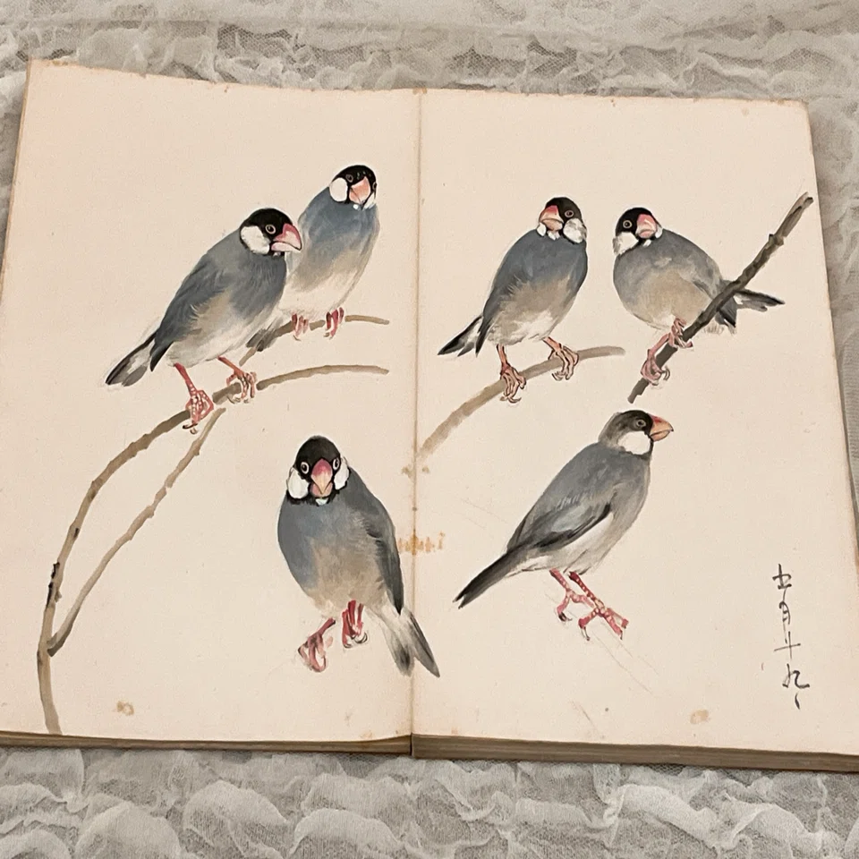 妖しい魅力「大正ロマン・昭和モダンのカリスマ絵師 高畠華宵が伝えて