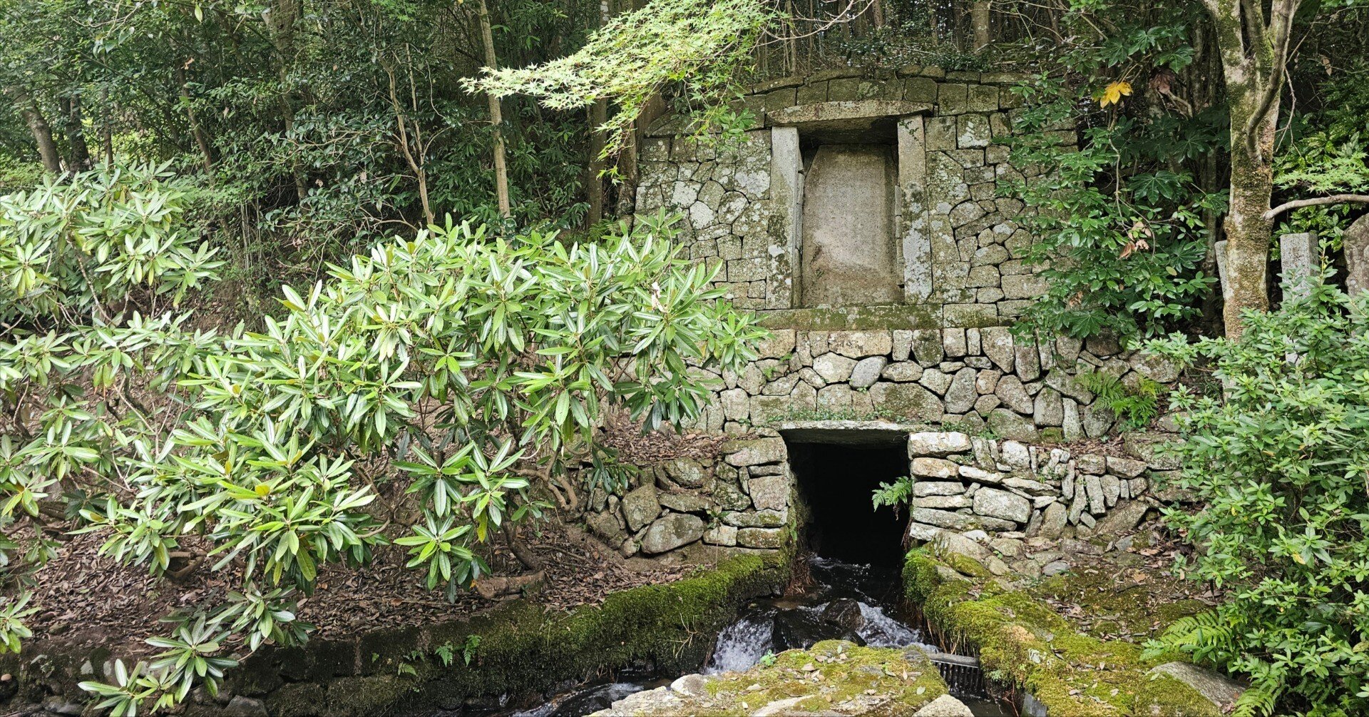 79cb94c294fc2cb931f2dfb13336c1