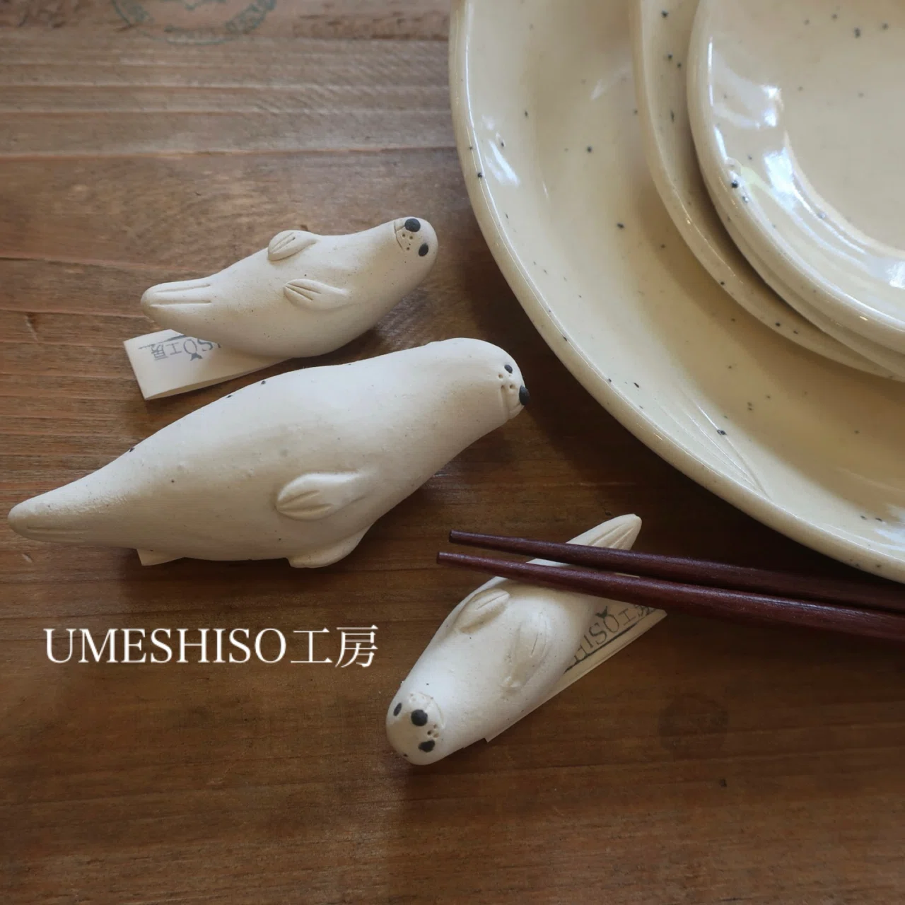 9/16 今日はアザラシ｜canaco