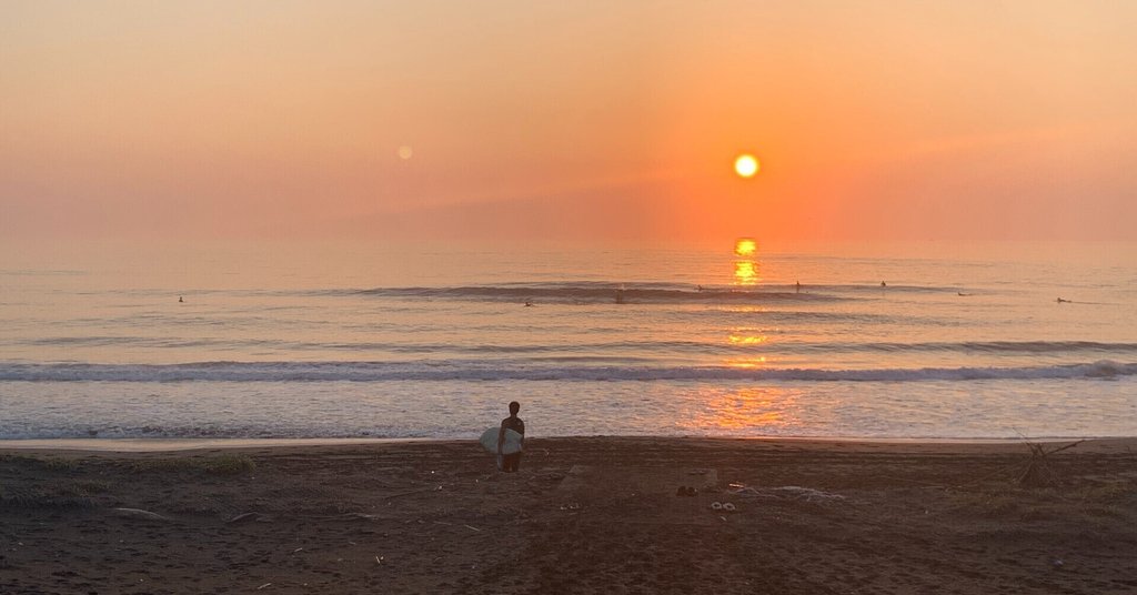 ヨコヒロの環世界