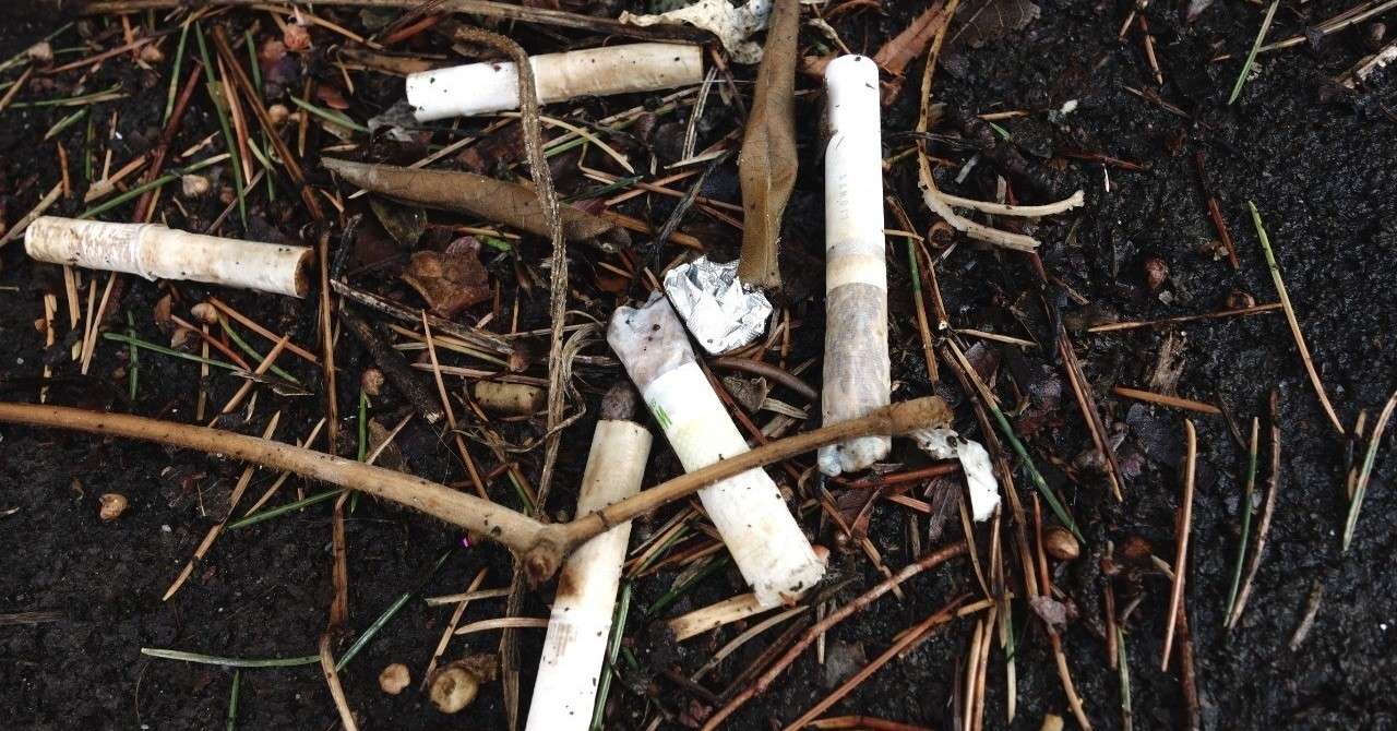 驚きの喫煙マナー イギリス人医師と議論してみた Kakeru I Note