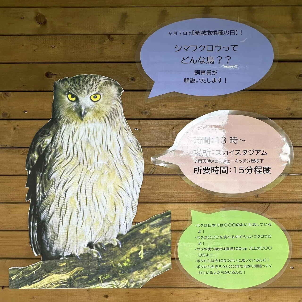 絶滅危惧種 【シマフクロウ】｜那須どうぶつ王国公式note