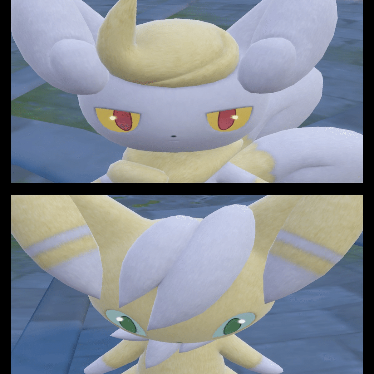 推しポケ写真部】＃25 ニャオニクス【ポケモンSV】｜オルカ